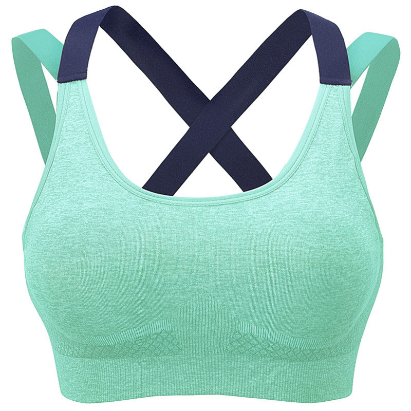 Active Women's Sports Bra