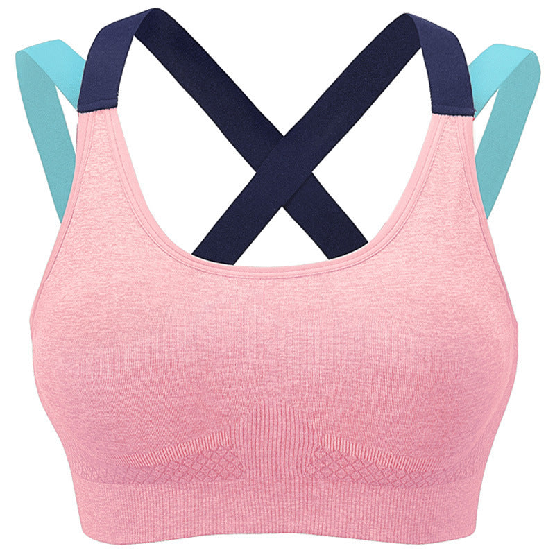 Active Women's Sports Bra